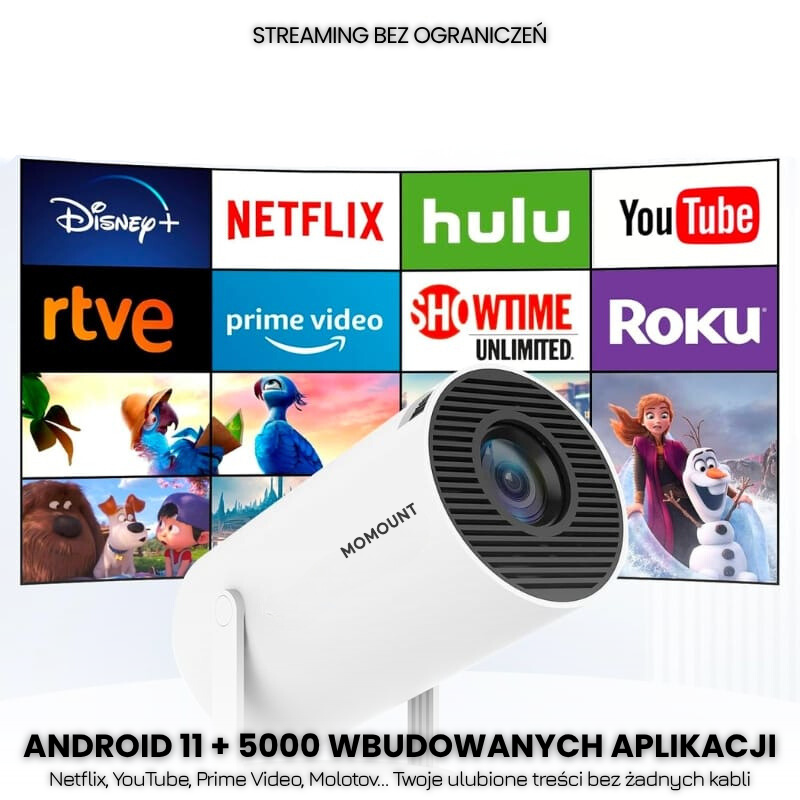 Vidéoprojecteur avec prise en charge 4K - Wi-Fi et Bluetooth