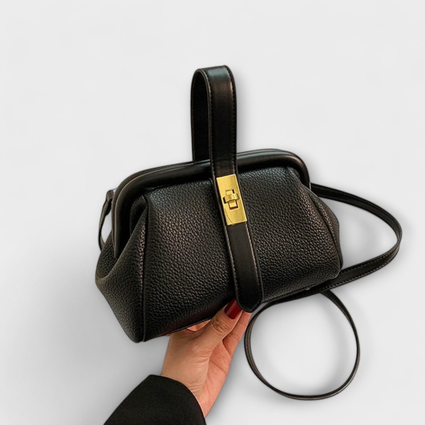 Momount Women Mini Handbag