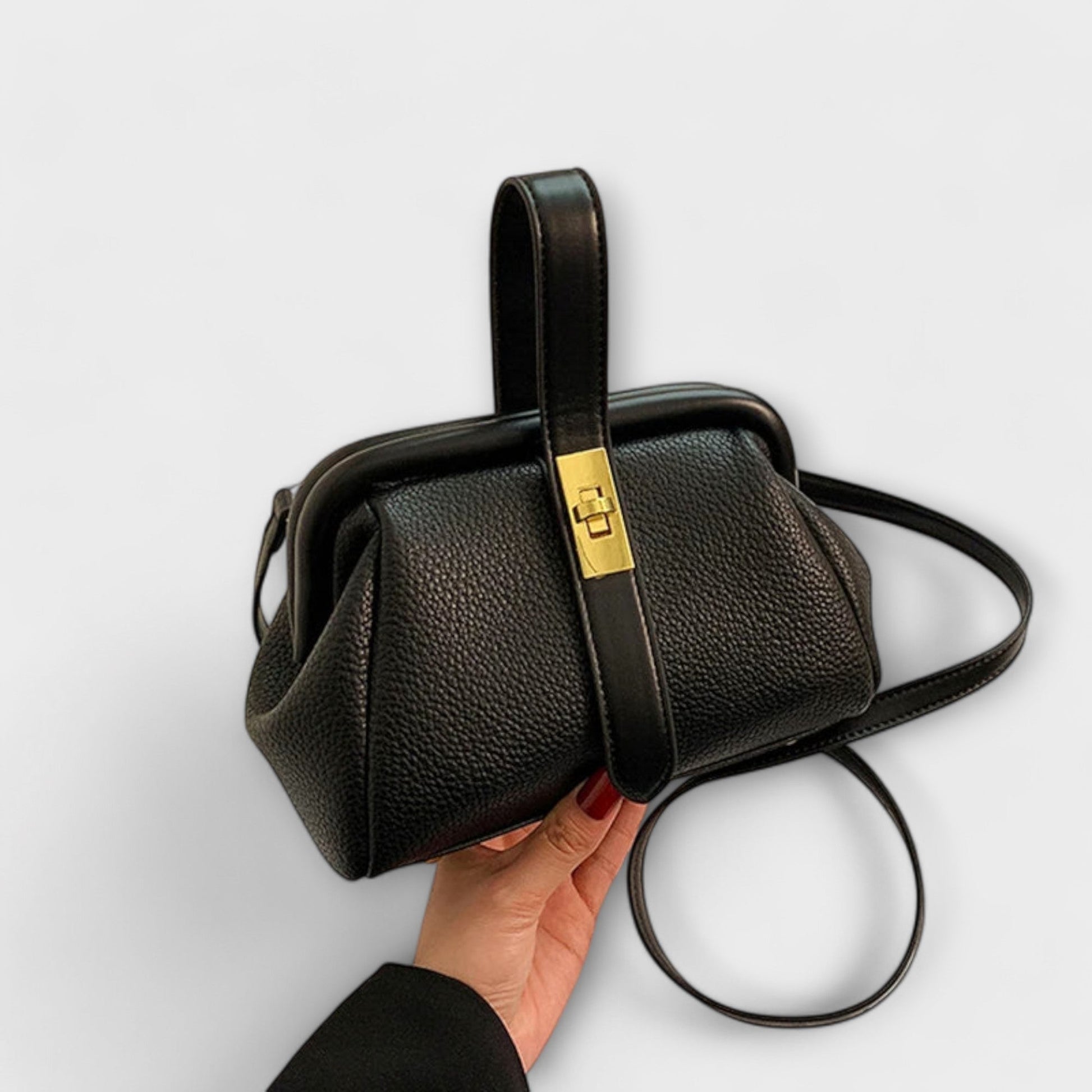 Momount Women Mini Handbag