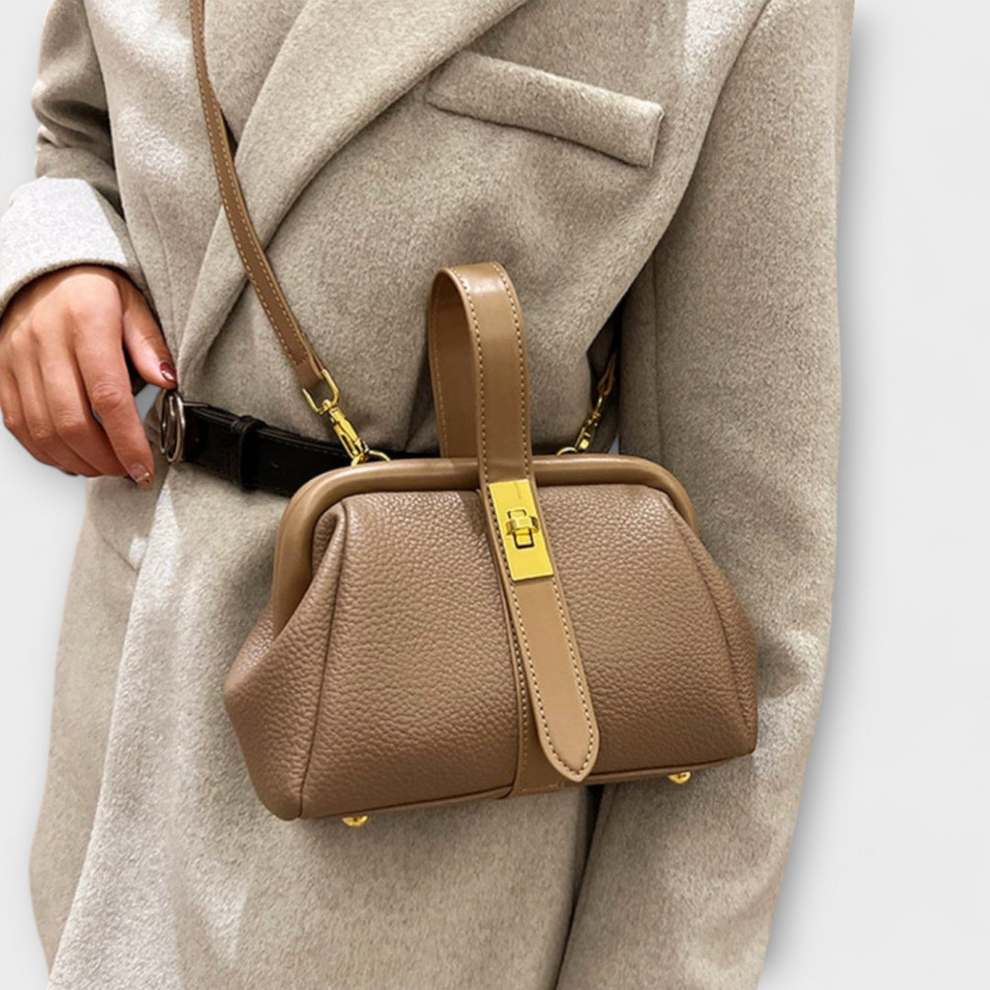 Momount Women Mini Handbag