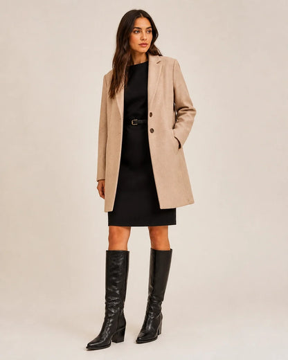 Black pointed-toe knee-high boots, silhouette view