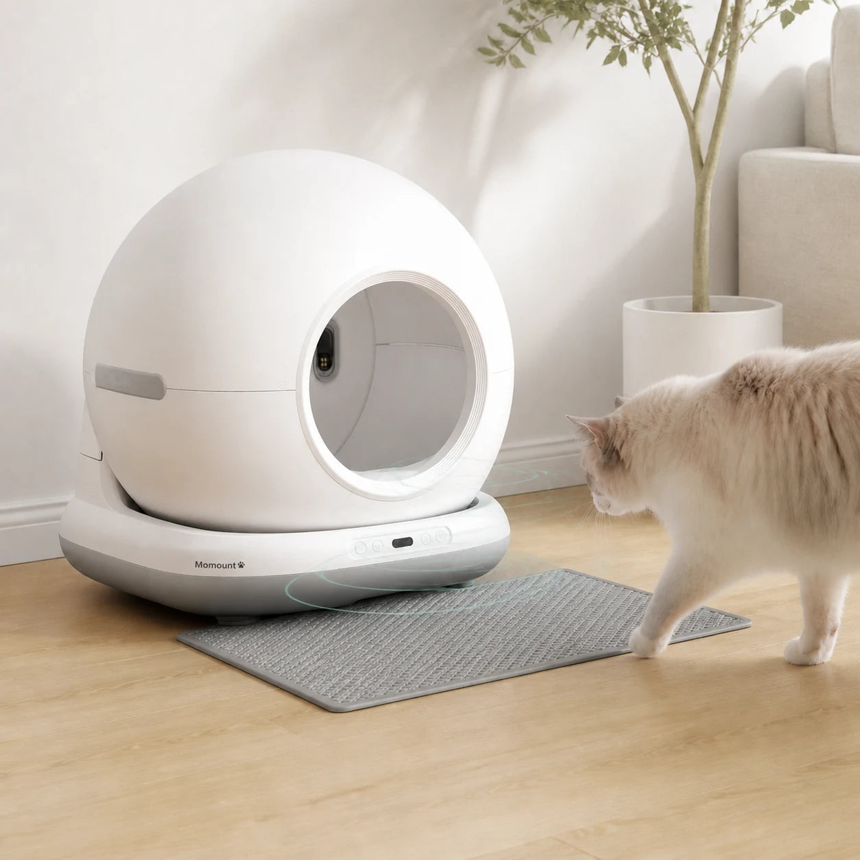 Elle s’arrête quand votre chat s’approche